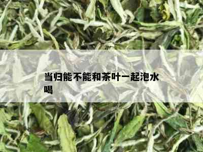 当归能不能和茶叶一起泡水喝