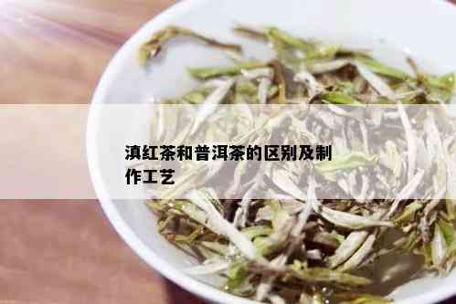 滇红茶和普洱茶的区别及制作工艺