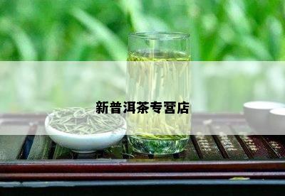 新普洱茶专营店