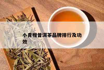 小青柑普洱茶品牌排行及功效