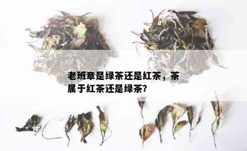 老班章是绿茶还是红茶，茶属于红茶还是绿茶？