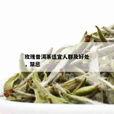 玫瑰普洱茶适宜人群及好处，禁忌