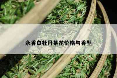 永香白牡丹茶花价格与香型