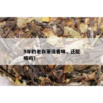 9年的老白茶没香味，还能喝吗？