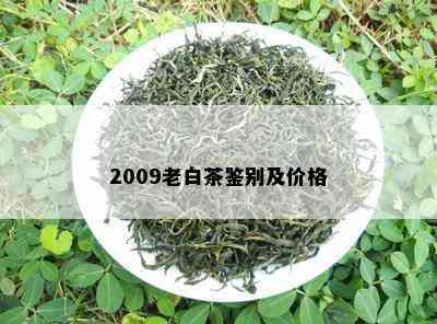 2009老白茶鉴别及价格