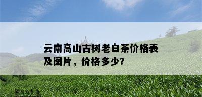 云南高山古树老白茶价格表及图片，价格多少？