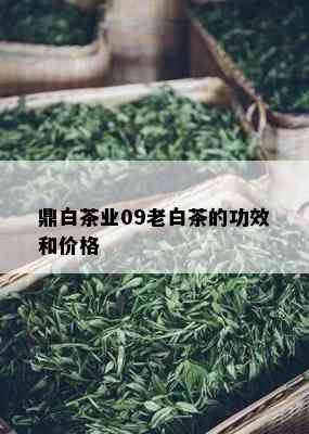 鼎白茶业09老白茶的功效和价格