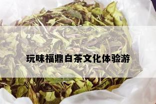 玩味福鼎白茶文化体验游