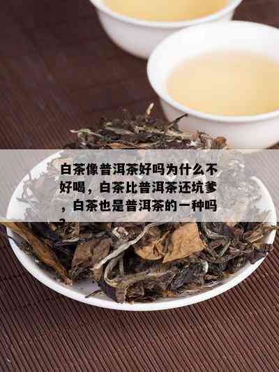 白茶像普洱茶好吗为什么不好喝，白茶比普洱茶还坑爹，白茶也是普洱茶的一种吗？