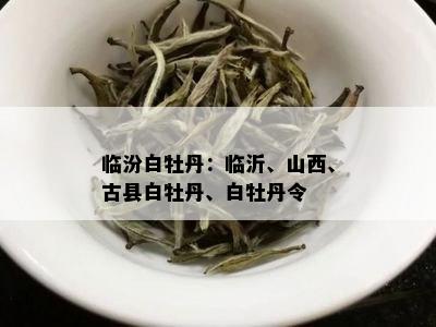 临汾白牡丹：临沂、山西、古县白牡丹、白牡丹令