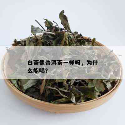 白茶像普洱茶一样吗，为什么能喝？