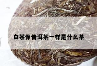 白茶像普洱茶一样是什么茶