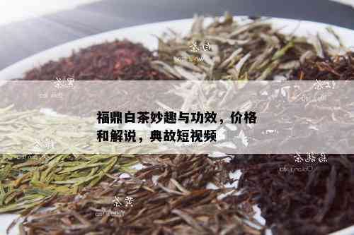 福鼎白茶妙趣与功效，价格和解说，典故短视频