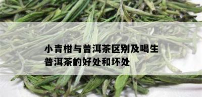 小青柑与普洱茶区别及喝生普洱茶的好处和坏处