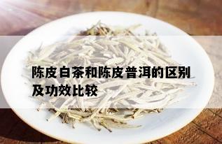 陈皮白茶和陈皮普洱的区别及功效比较