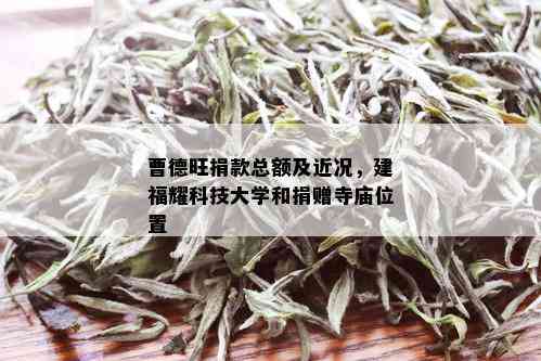 曹德旺捐款总额及近况，建福耀科技大学和捐赠寺庙位置