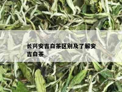 长兴安吉白茶区别及了解安吉白茶