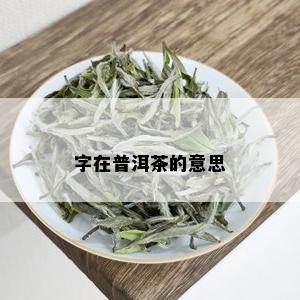 字在普洱茶的意思