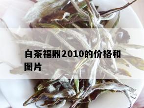 白茶福鼎2010的价格和图片