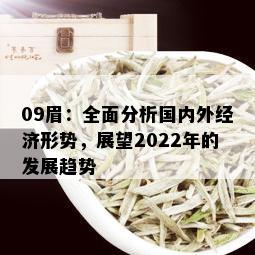 09眉：全面分析国内外经济形势，展望2022年的发展趋势