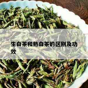 生白茶和熟白茶的区别及功效