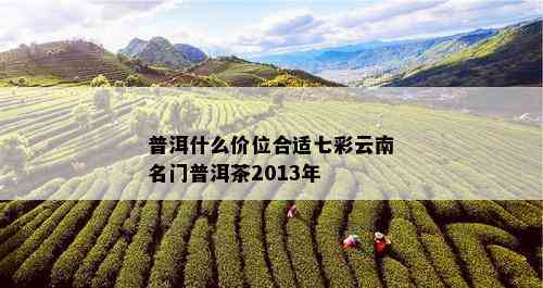 普洱什么价位合适七彩云南名门普洱茶2013年