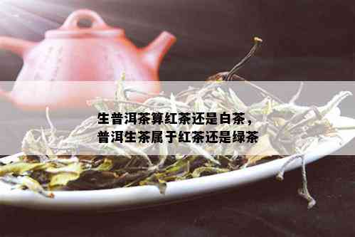 生普洱茶算红茶还是白茶，普洱生茶属于红茶还是绿茶