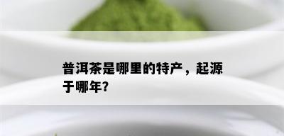 普洱茶是哪里的特产，起源于哪年？