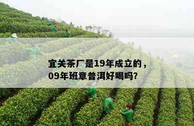 宜关茶厂是19年成立的，09年班章普洱好喝吗？