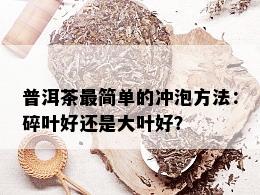 普洱茶最简单的冲泡方法：碎叶好还是大叶好？