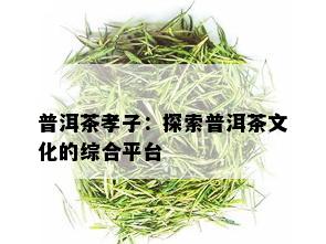 普洱茶孝子：探索普洱茶文化的综合平台