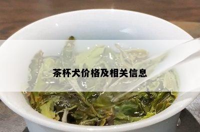 茶杯犬价格及相关信息