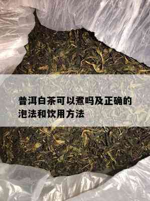 普洱白茶可以煮吗及正确的泡法和饮用方法