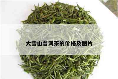 大雪山普洱茶的价格及图片