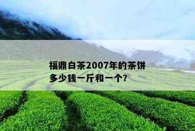 福鼎白茶2007年的茶饼多少钱一斤和一个？