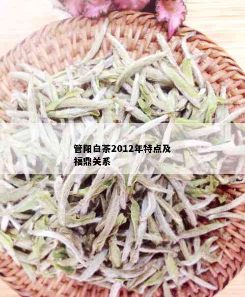 管阳白茶2012年特点及福鼎关系