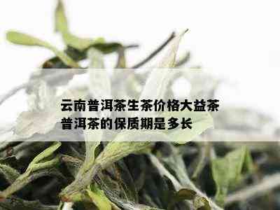 云南普洱茶生茶价格大益茶普洱茶的保质期是多长