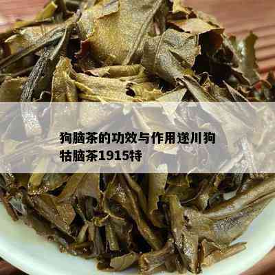 狗脑茶的功效与作用遂川狗牯脑茶1915特