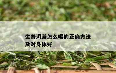 生普洱茶怎么喝的正确方法及对身体好