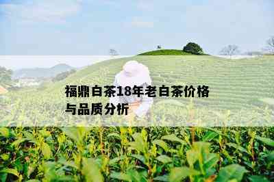 福鼎白茶18年老白茶价格与品质分析