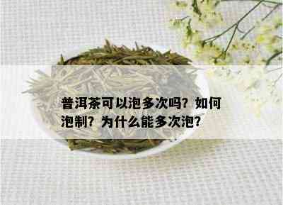 普洱茶可以泡多次吗？如何泡制？为什么能多次泡？