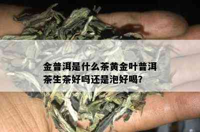 金普洱是什么茶黄金叶普洱茶生茶好吗还是泡好喝？