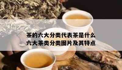 茶的六大分类代表茶是什么六大茶类分类图片及其特点