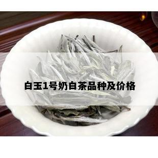 白玉1号奶白茶品种及价格