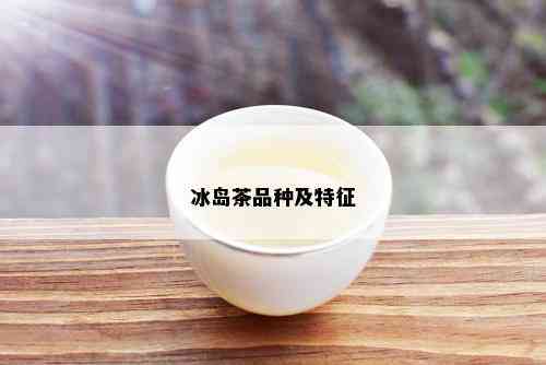 冰岛茶品种及特征