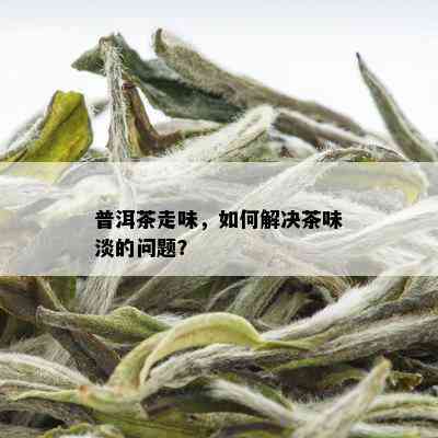 普洱茶走味，如何解决茶味淡的问题？