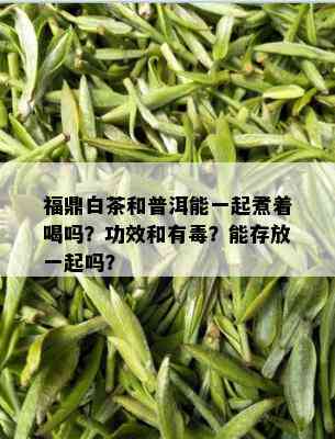 福鼎白茶和普洱能一起煮着喝吗？功效和有？能存放一起吗？