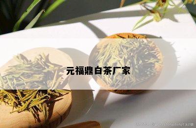 元福鼎白茶厂家