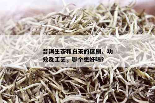 普洱生茶和白茶的区别、功效及工艺，哪个更好喝？