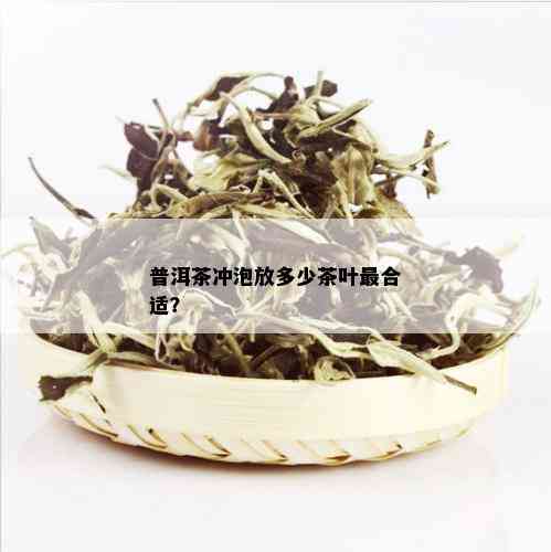 普洱茶冲泡放多少茶叶最合适？